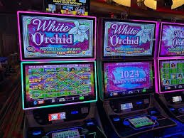 Tampilan permainan Sweet Bonanza di platform toto 888 dengan grid 6x5 dan simbol-simbol buah cerah